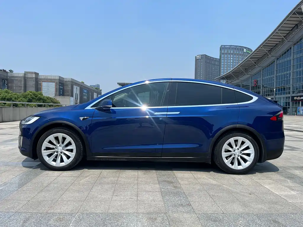 Tesla Model X 2017 — фото 6