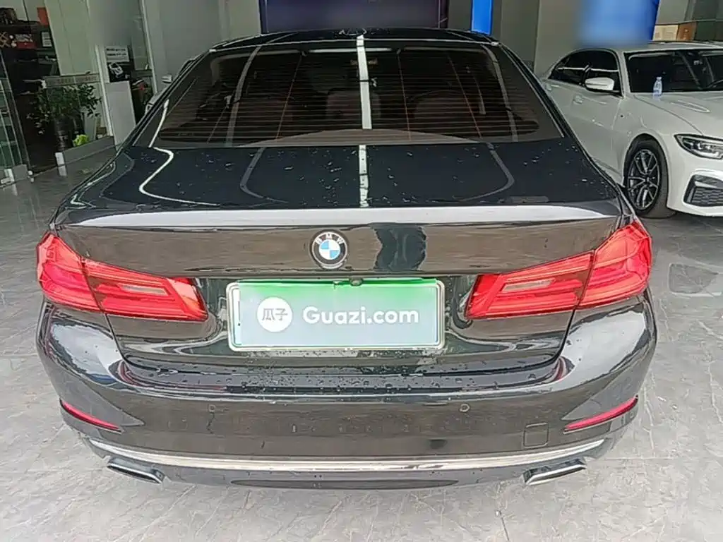 BMW 5 Series New Energy 2019