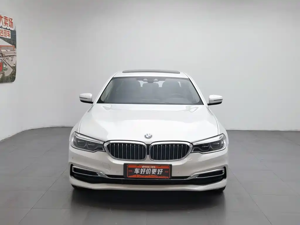 BMW 5 Series New Energy 2019