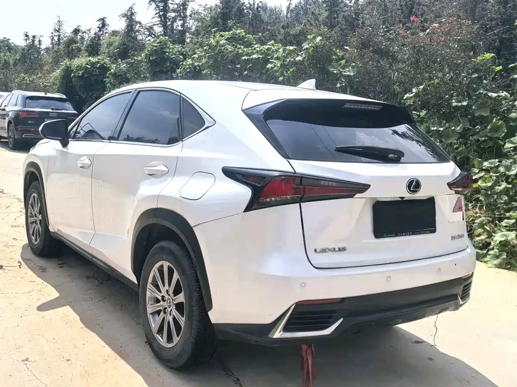 Lexus NX 2020 — фото 9