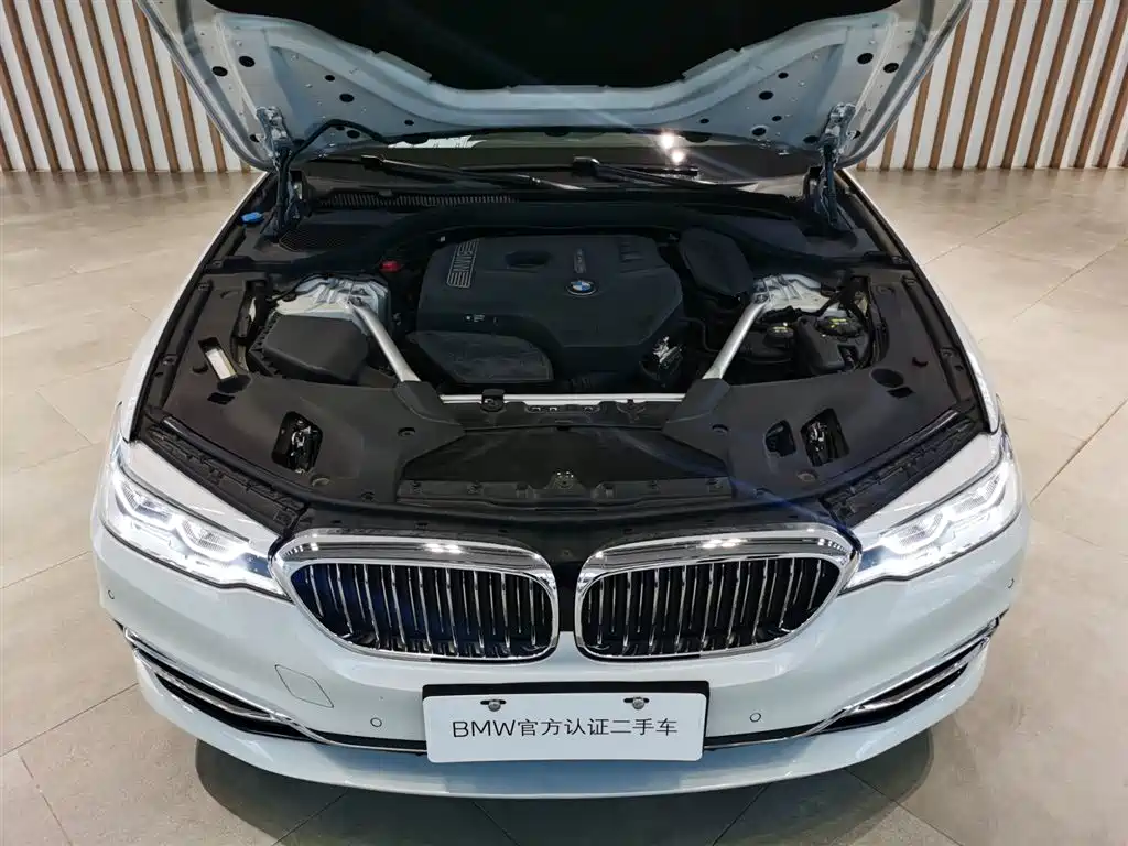 BMW 5 Series 2020 — фото 13