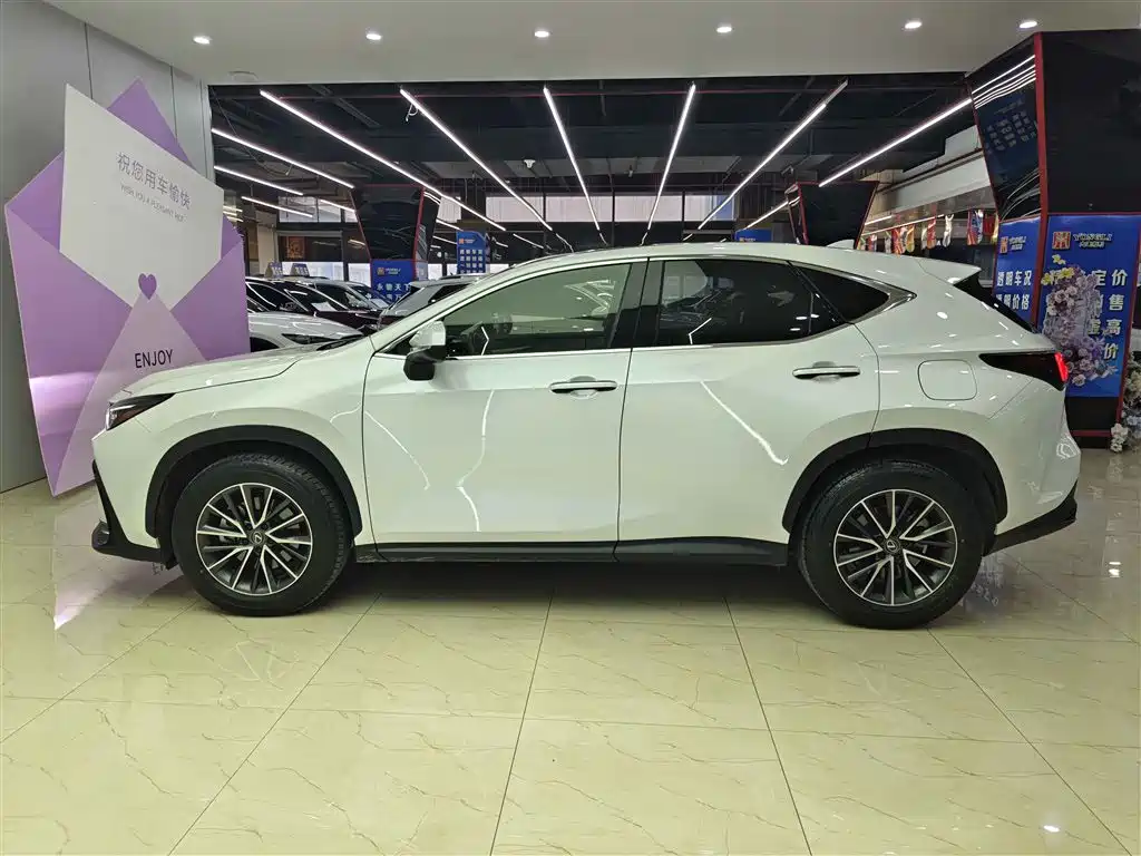 Lexus NX 2023 — фото 7