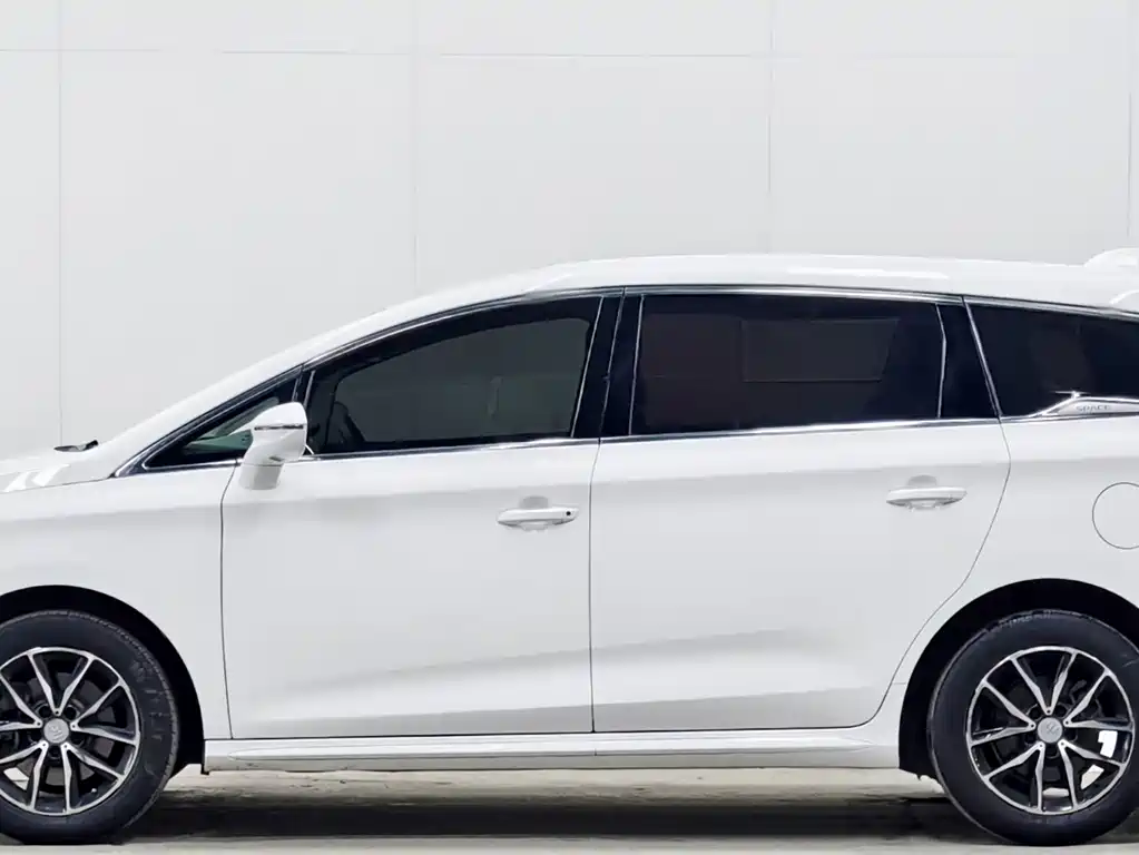 BYD MAX 2018 — фото 7