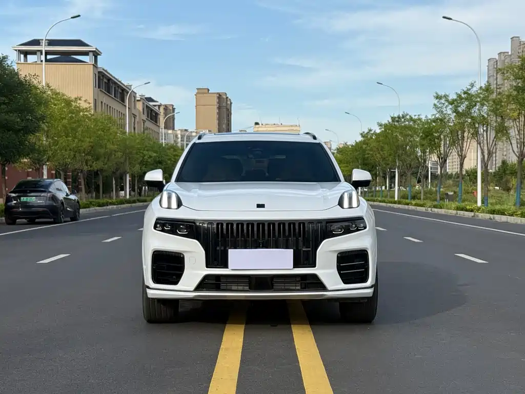 Lynk & Co 09 EM-P 2024