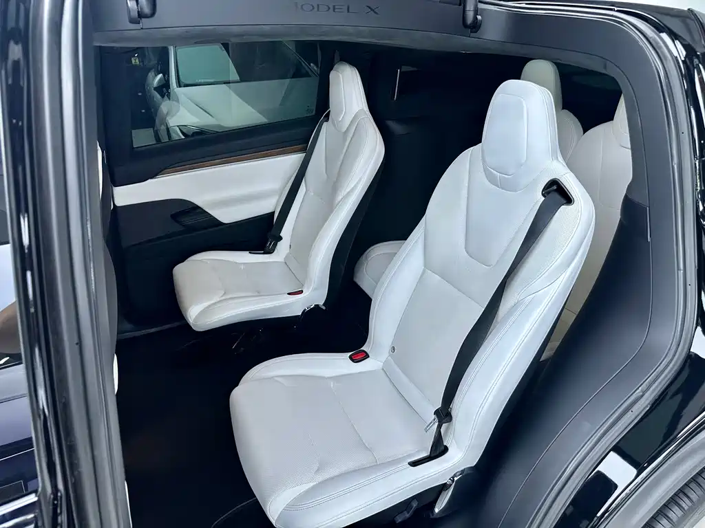 Tesla Model X 2023 — фото 9