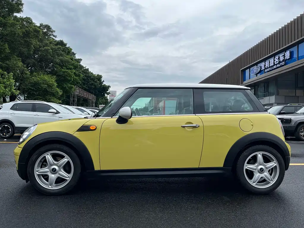MINI MINI 2010