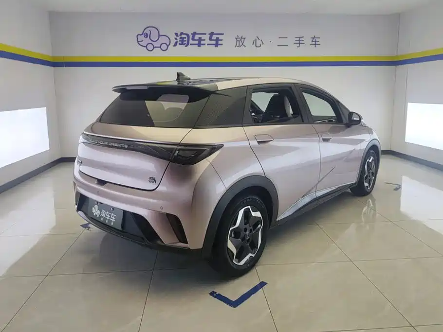 BYD Dolphin 2022
