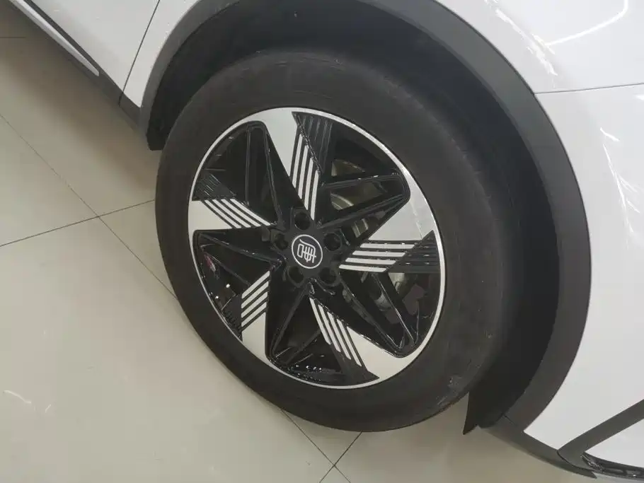 BYD Tang New Energy 2024