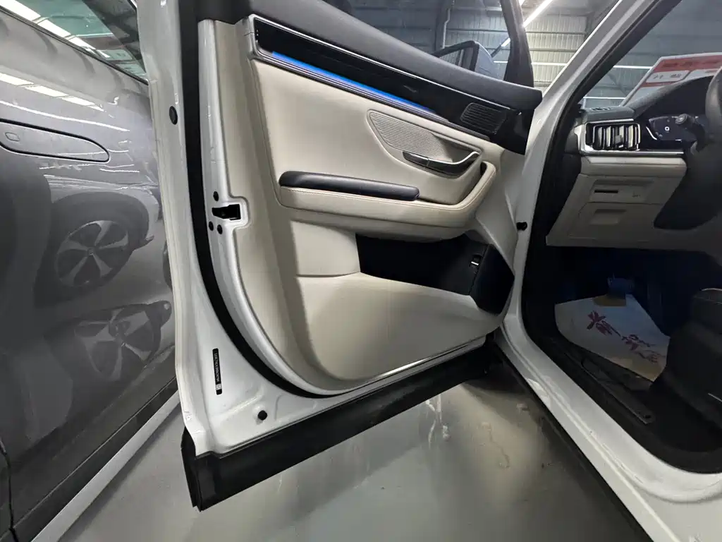 BYD PLUS New Energy 2023 — фото 16