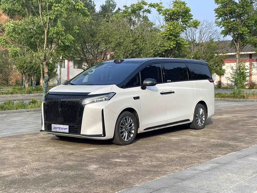 Wey Gaoshan 2025