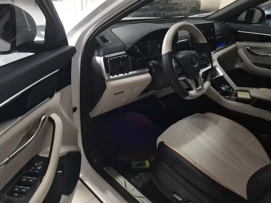BYD PLUS New Energy 2023 — фото 16
