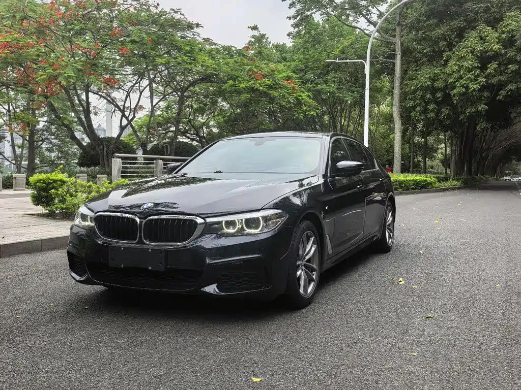 BMW 5 Series 2020