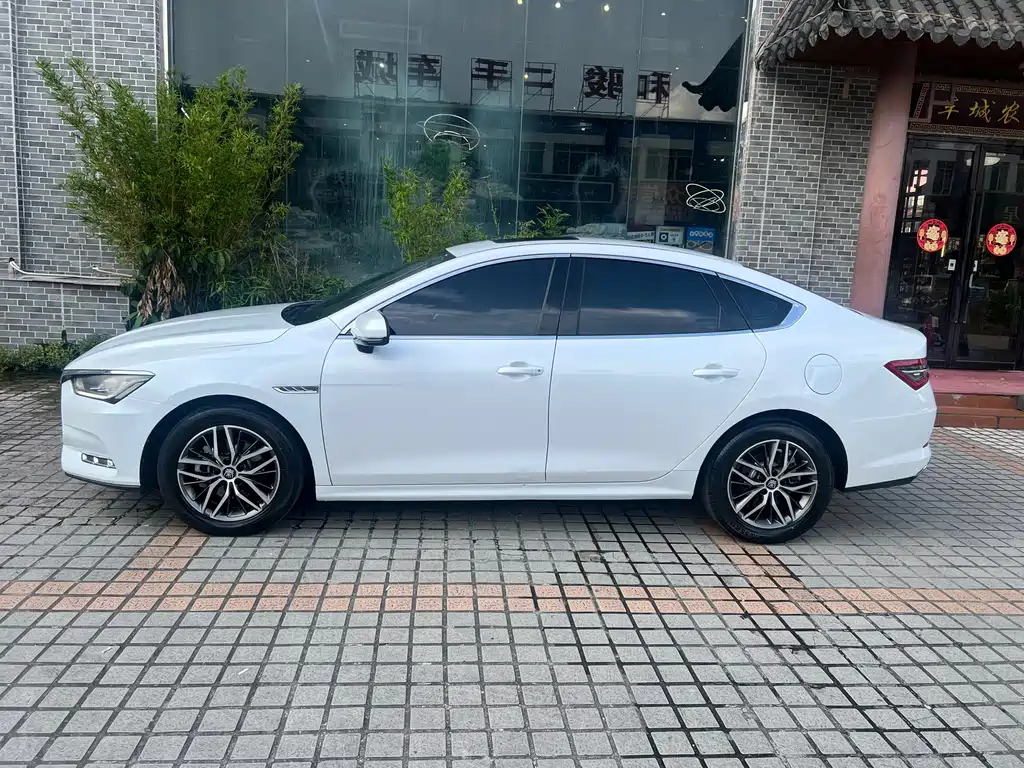 BYD Qin Pro New Energy 2021 — фото 6