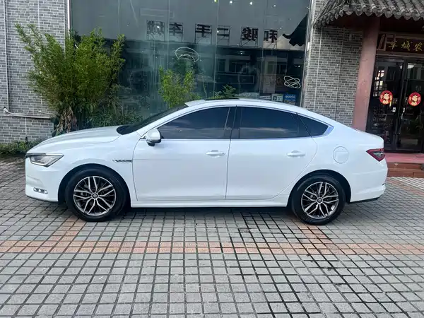 BYD Qin Pro New Energy 2021