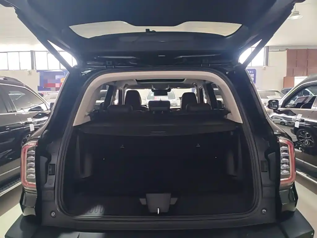 Haval Big Dog 2023 — фото 19