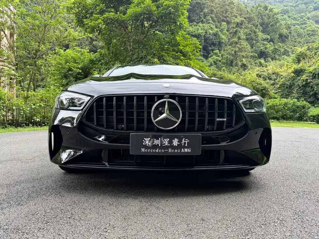 Mercedes-Benz AMG GT 2025 — фото 2