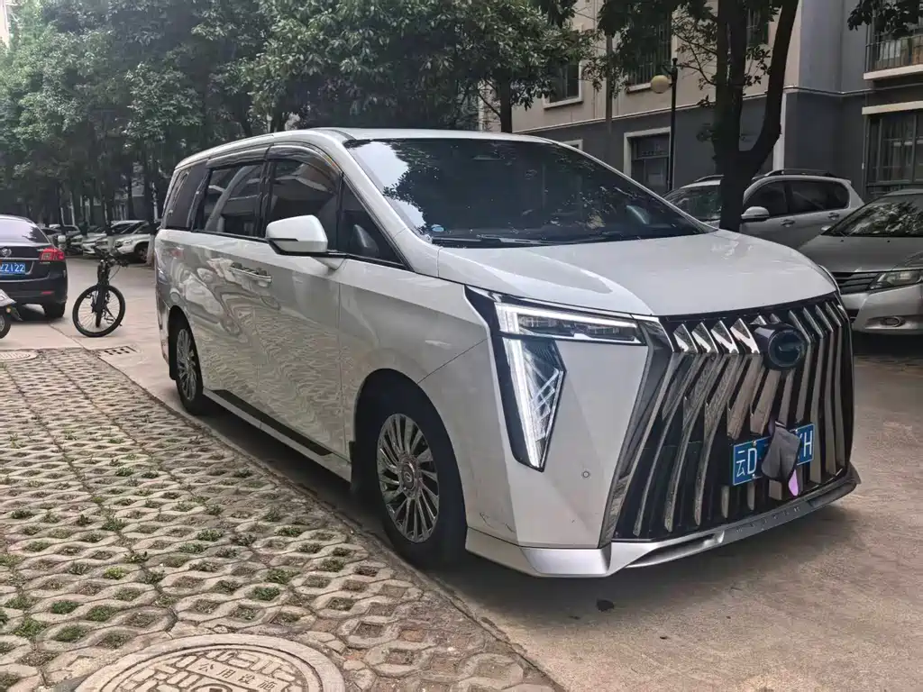 GAC Motor Trumpchi M8 2023 — фото 9