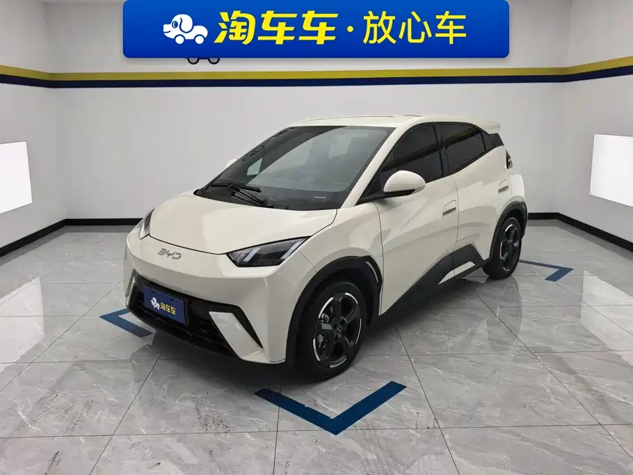 BYD Seagull 2024