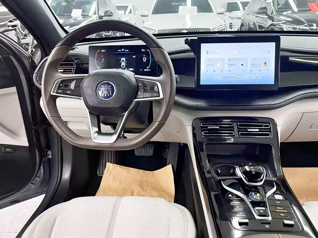 BYD Qin PLUS 2025 — фото 17