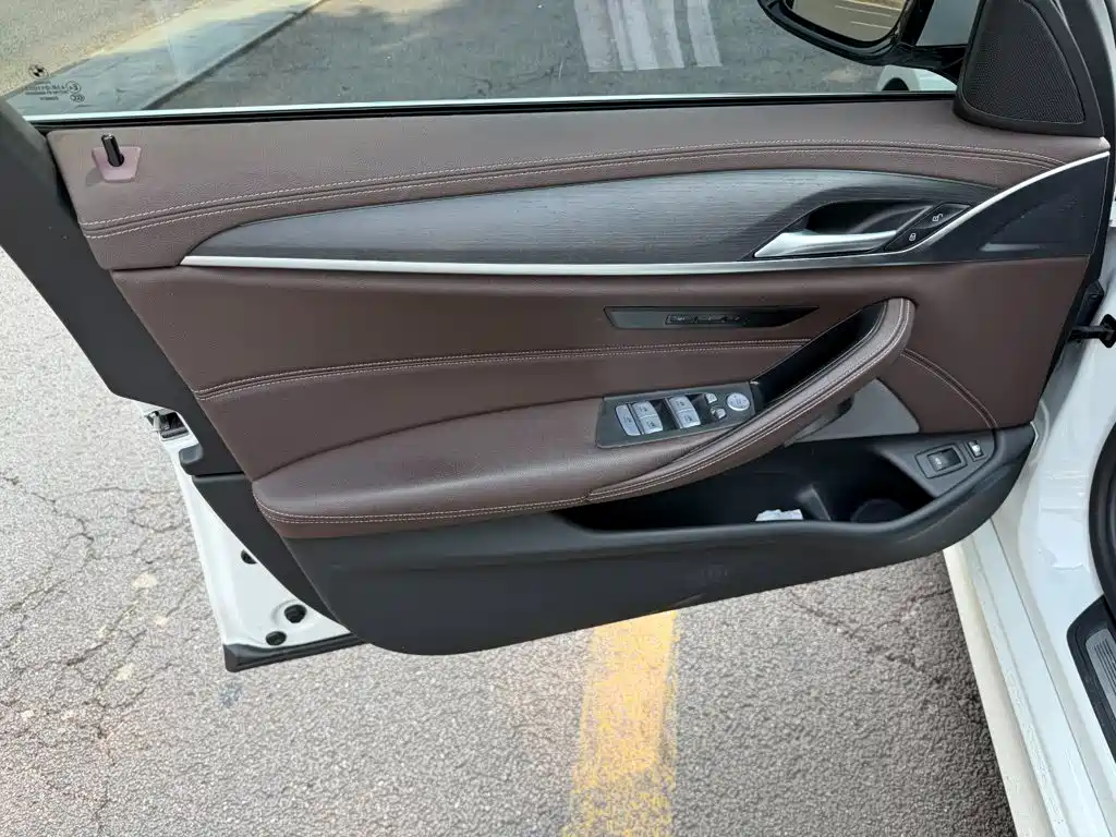 BMW 5 Series New Energy 2023