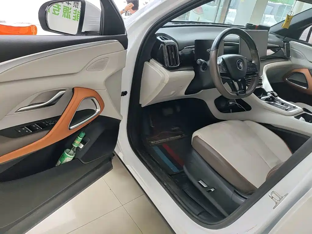 BYD Pro New Energy 2023 — фото 16
