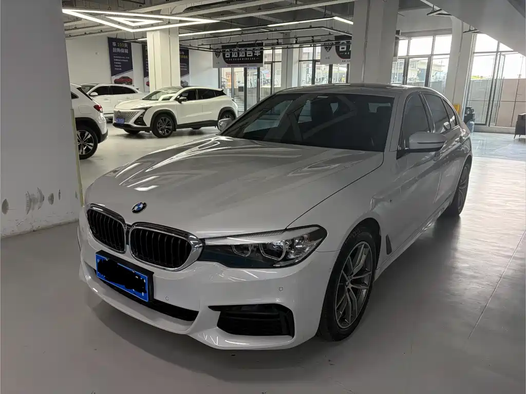 BMW 5 Series 2019