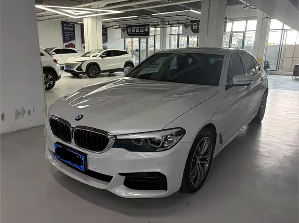 BMW 5 Series 2019