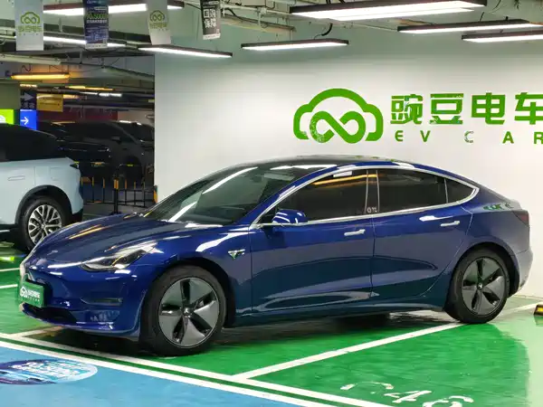Tesla Model 3 2019
