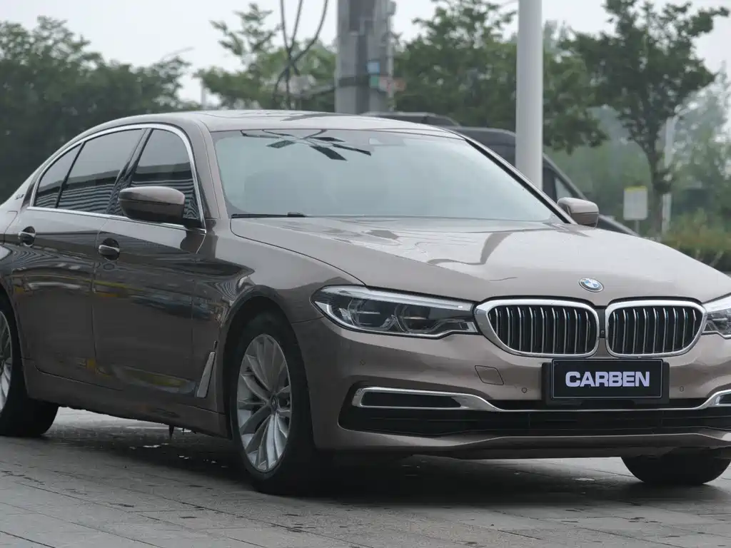 BMW 5 Series New Energy 2019