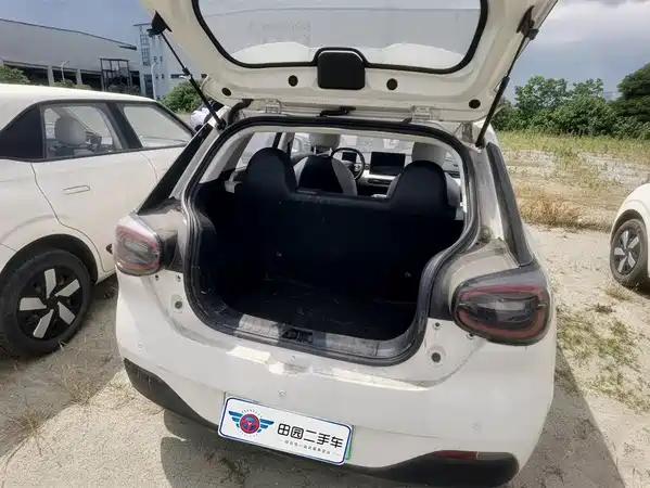Dongfeng Nano 01 2024