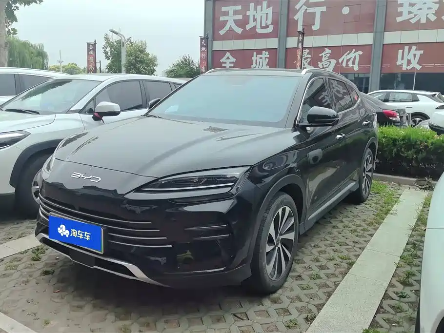 BYD PLUS New Energy 2023 — фото 1
