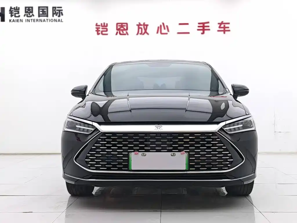 BYD Qin PLUS 2024 — фото 2