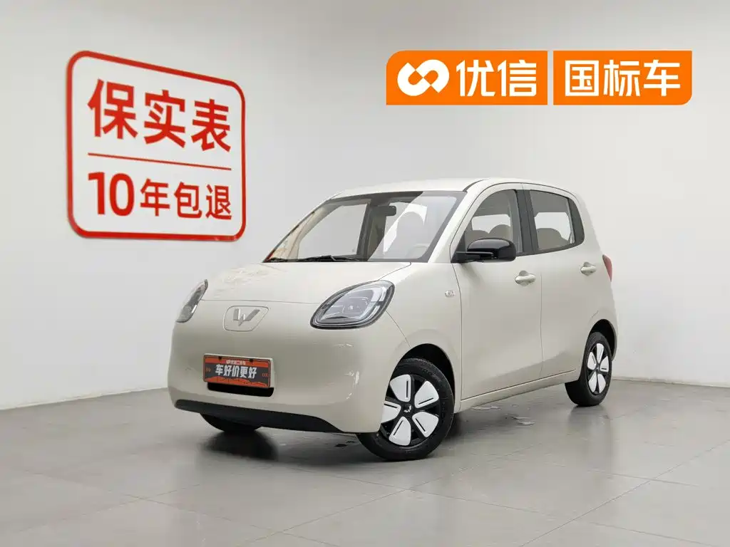 Wuling Hongguang MINIEV 2025