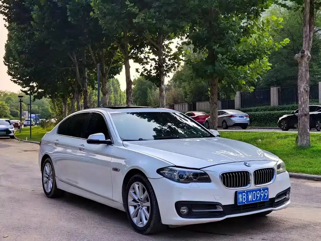 BMW 5 Series 2015