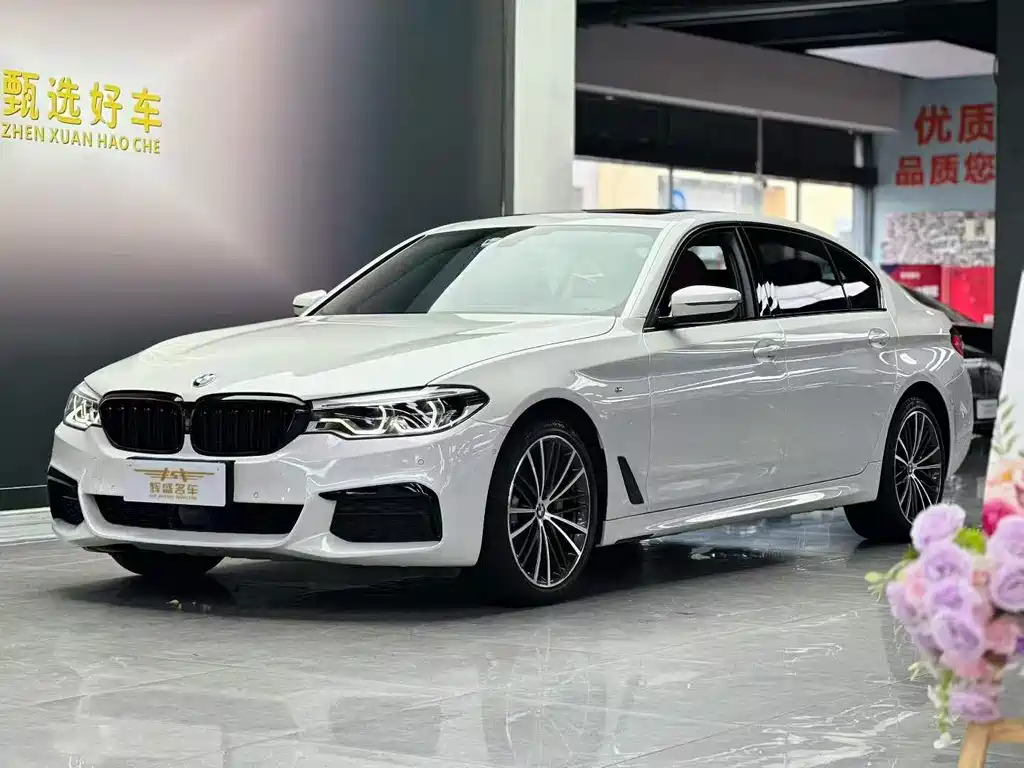 BMW 5 Series 2020 — фото 1
