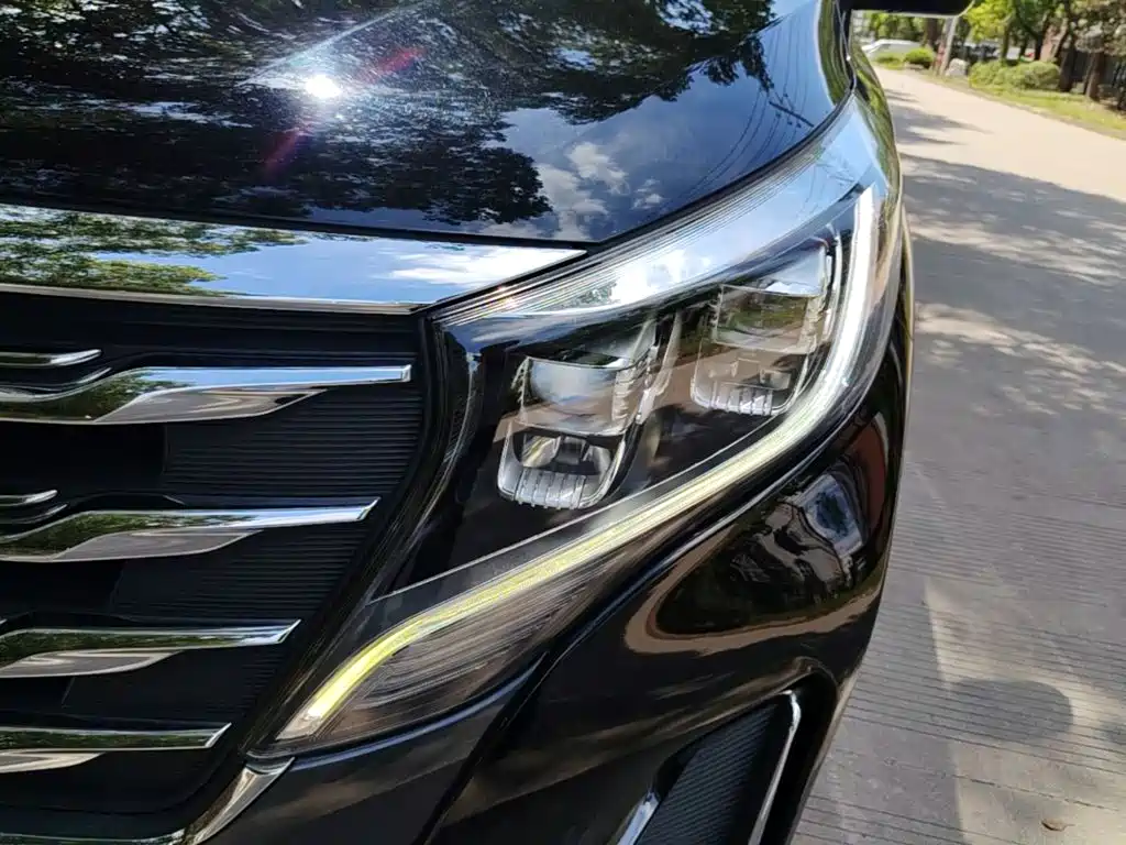 GAC Trumpchi M8 2020 — фото 24