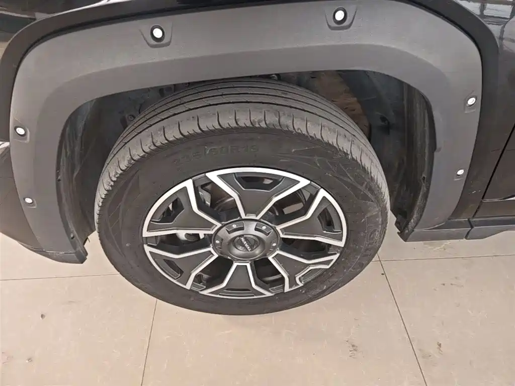 Haval Dargo PLUS EV 2023 — фото 23