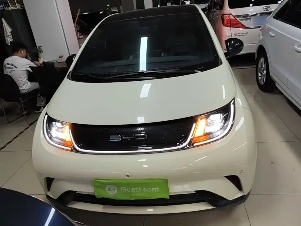 BYD Dolphin 2024
