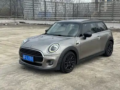 MINI MINI 2020