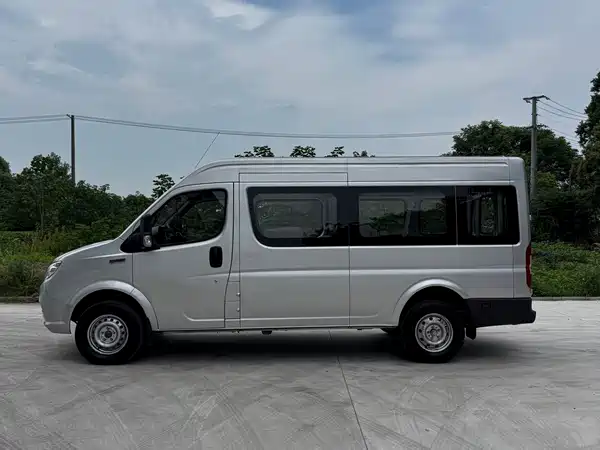 Dongfeng Yufeng 2020