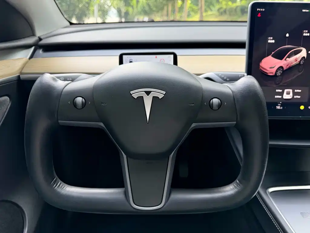 Tesla Model Y 2023 — фото 10