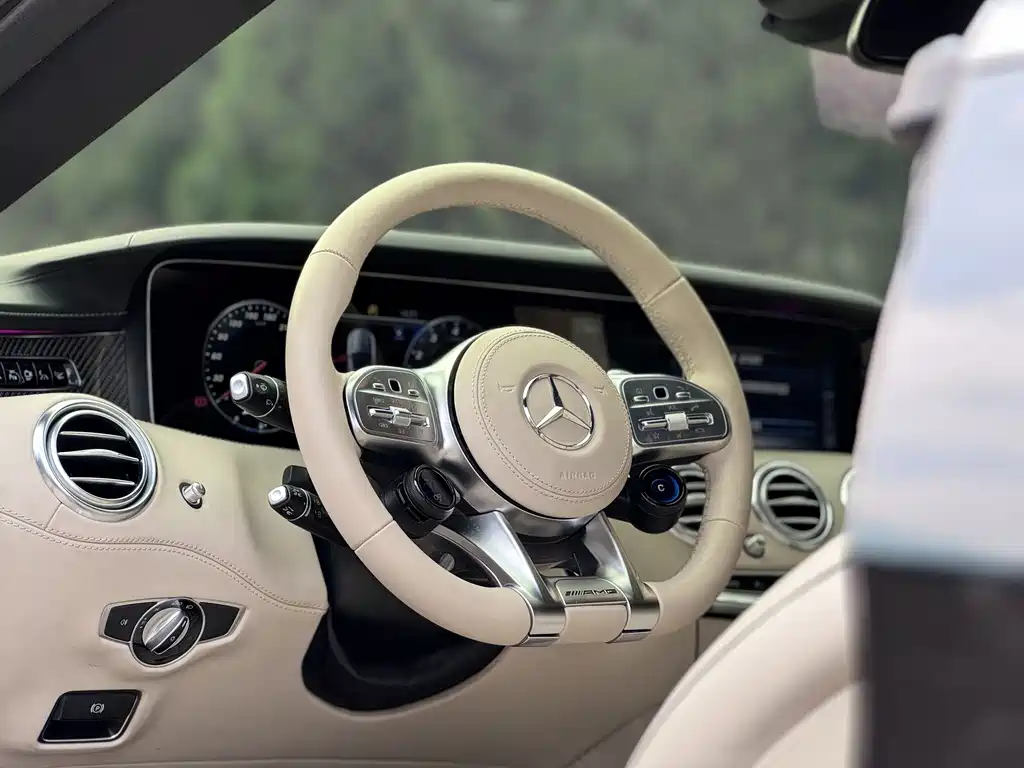 Mercedes-Benz S-Class AMG 2016 — фото 13