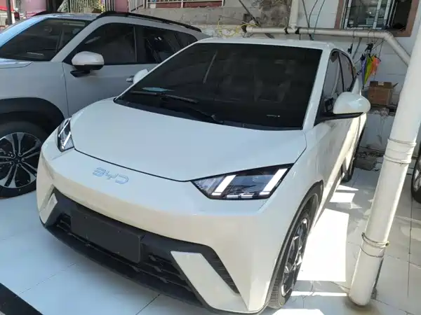 BYD Seagull 2024