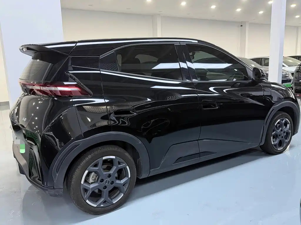 BYD Seagull 2024