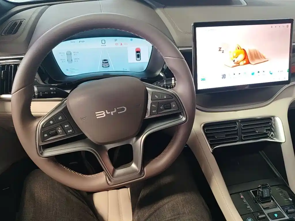 BYD PLUS New Energy 2024 — фото 10