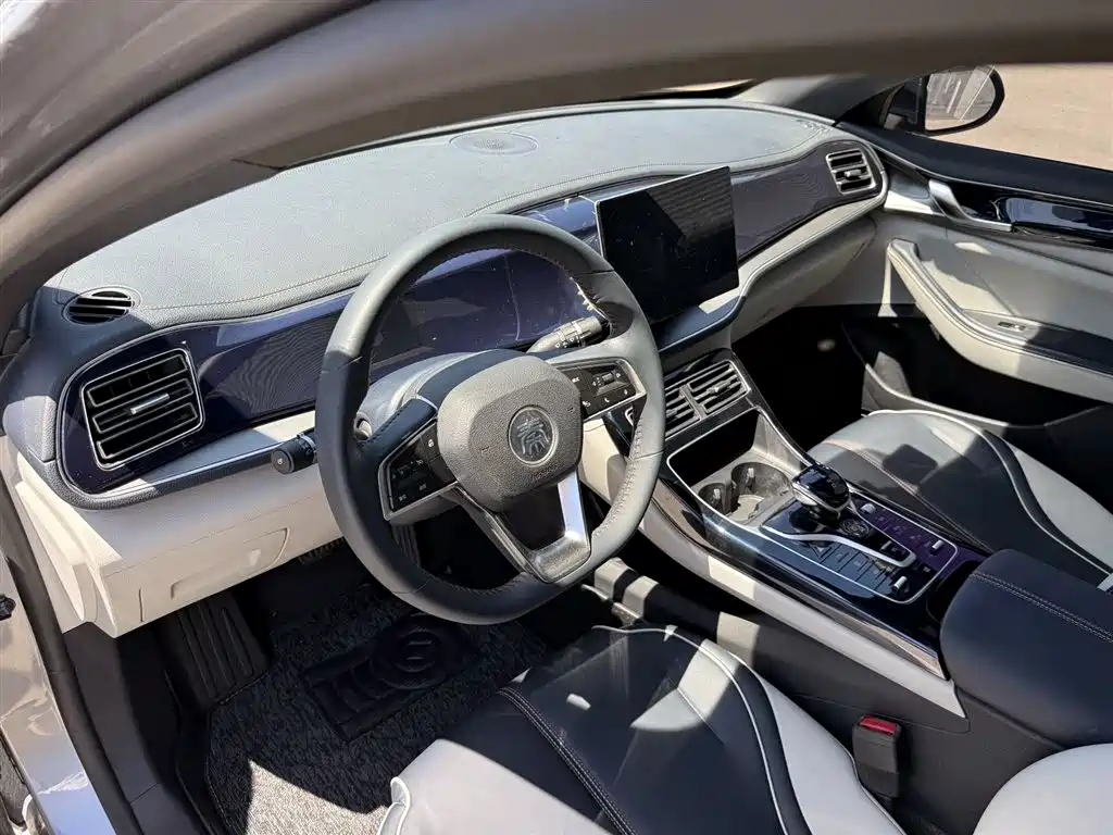 BYD Qin PLUS 2021 — фото 10