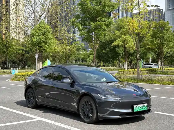 Tesla Model 3 2025