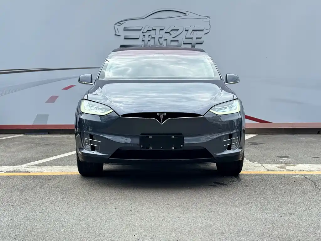Tesla Model X 2019 — фото 2