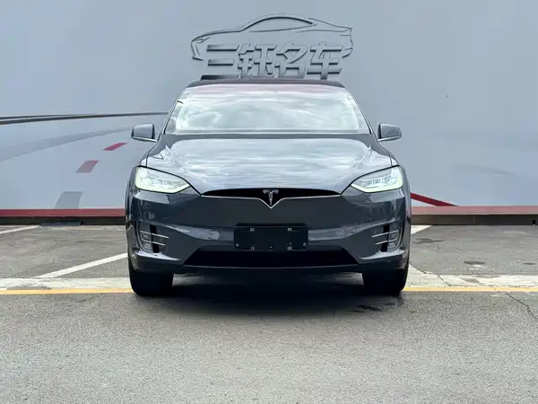 Tesla Model X 2019