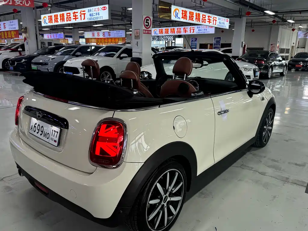 MINI MINI 2019